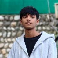 Aditya Class 12 Tuition trainer in Kullu