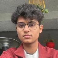 Kanishka Class 11 Tuition trainer in Lucknow