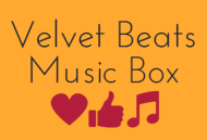 Velvet Beats Music Box Vocal Music institute in Nagpur