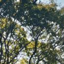 Adharsh Staff Selection Commission Exam trainer in Thiruvananthapuram