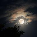 Arthi t English Tutors trainer in Orattanad