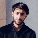 Raman Home Tutors trainer in Moga