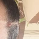 Sarvani . CBSE Tuition classes trainer in Hanamkonda