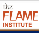 Flame Institute photo