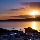 Shahana S. Class 10 Tuition trainer in Pune