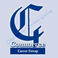 Commerce Career group Class 11 Tuition institute in Chandigarh