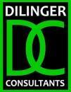Dilinger Consultants Career Counselling institute in Bangalore