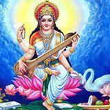 Saraswati Coaching Institute Class 11 Tuition institute in Delhi