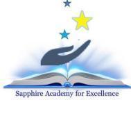 Sapphire Academy for Excellence BA Tuition institute in Gurgaon