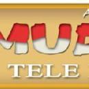 Photo of Mudra Tele films