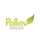 Photo of Pallav