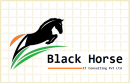 Black Horse It Consulting Pvt Ltd photo
