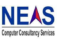 NEAS Computer Consultancy Services Computer Course institute in Mumbai