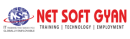 Net Soft Gyan Computer Networking institute in Bangalore