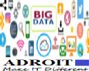Adroit IT Network Consultant Private Ltd photo