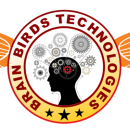 Brain Birds Technologies photo