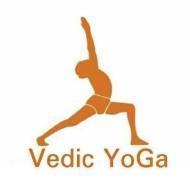 Vedic Yoga Yoga institute in Panchkula