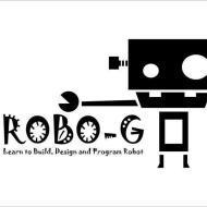 Robo G Summer Camp institute in Bangalore