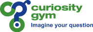 Curiosity Gym Mobile App Development institute in Mumbai