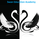 Photo of Swan