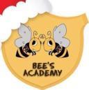Bees Academy photo