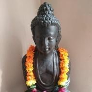 Preeti Class 12 Tuition trainer in Delhi