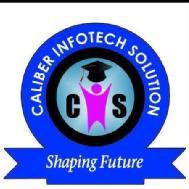 Caliber Infotech Solution .Net institute in Mumbai