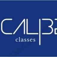 Caliber Classes Class I-V Tuition institute in Pune