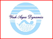 Yash Aqua Dynamic Swimming institute in Pune