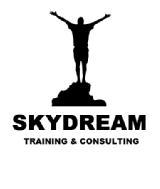 Skydream Training and Consulting Search Engine Marketing (SEM) institute in Bangalore