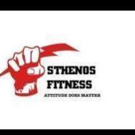 Sthenos Fitness Gym institute in Gurgaon