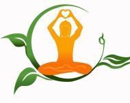 Apex Yoga And Dance Studio Yoga institute in Delhi