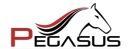 Pegasus photo