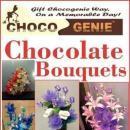 Chocogenie Iyengar Yoga Classes institute in Vadodara