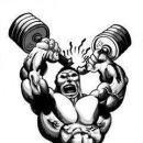 The Silver Life Gym Health and Fitness institute in Ahmedabad