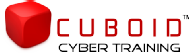 CUBOID CYBER TRAINING Engineering Diploma Tuition institute in Chennai