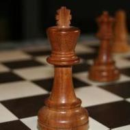 Rohini Chess Academy Chess institute in Delhi