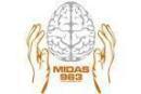 Photo of Midas Midbrain Work Shop