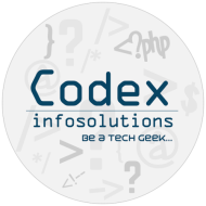 Code Xinfosolutions Llp .Net institute in Jaipur