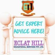 Eclat Hill Institute And Tutor's Bureau Pvt. Ltd. Engineering Entrance institute in Delhi