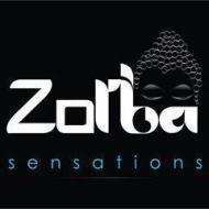 Zorba Sensations Drawing institute in Ahmedabad