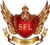 SFL GYMS Self Defence institute in Delhi