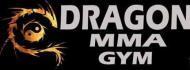 Dragon Mixed Martial Arts Gym Self Defence institute in Pune