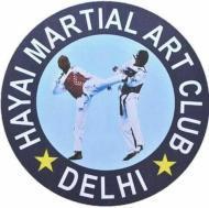 Hayai Martial Arts Club Self Defence institute in Delhi