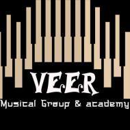 Veer Music Vocal Music institute in Halol