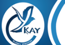 Photo of YKay Global Services