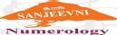 SANJEEVNI numerology photo