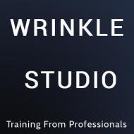 Wrinklestudio Adobe Photoshop institute in Pune