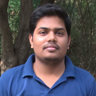 Ritesh Kumar Class 9 Tuition trainer in Bangalore