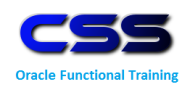 Css It Training Project Work institute in Hyderabad